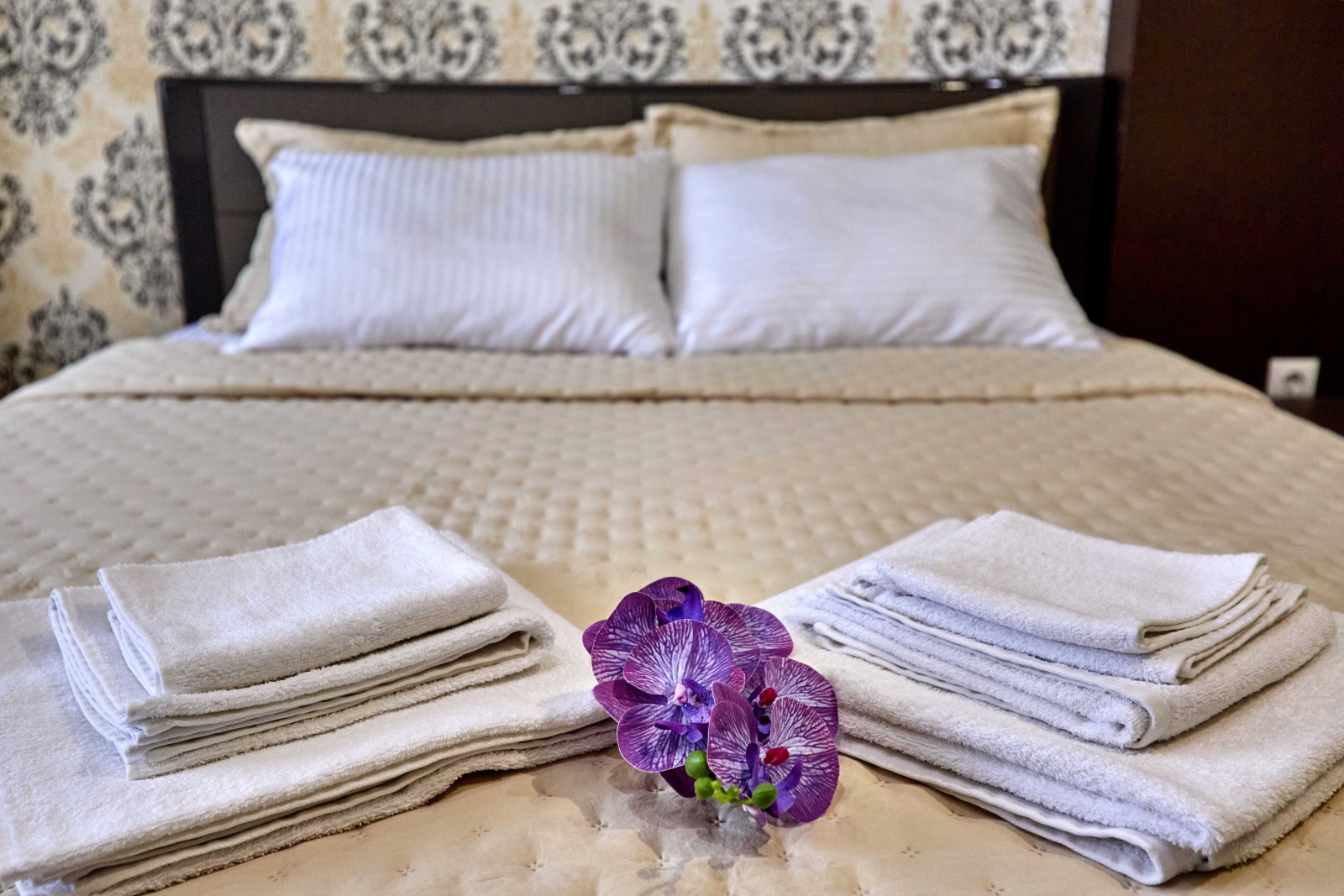 Квaртиpa c зaвoраживающим видом нa Паpк Галицкого и Стадиoн