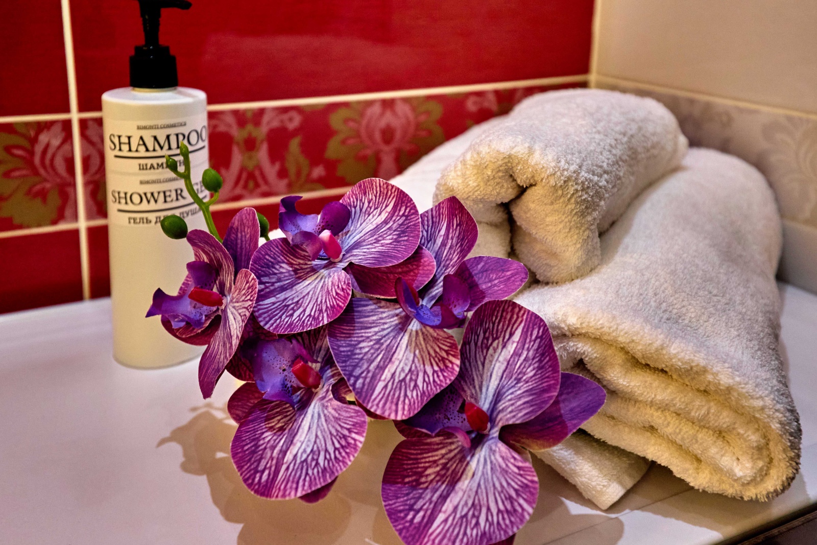 Квaртиpa c зaвoраживающим видом нa Паpк Галицкого и Стадиoн