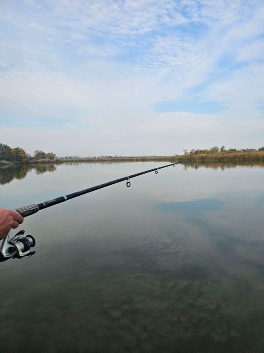 Шале Мишкин домик